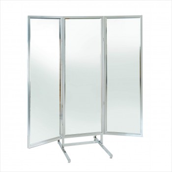 3-WAY MIRROR