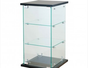 FRAMELESS SHOW CASE