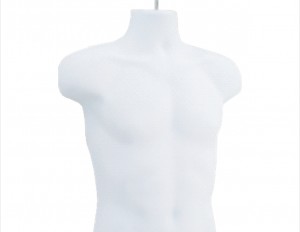 MALE TORSO FORM